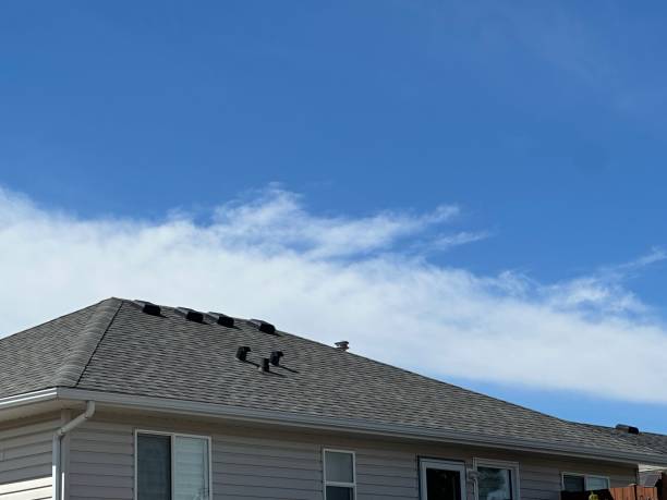 Best Chimney Flashing Repair  in Pinehurst, MA